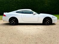 JAGUAR XK